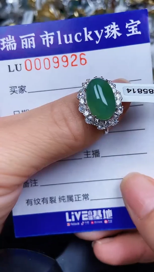 翡翠银S925镶嵌颈饰9926