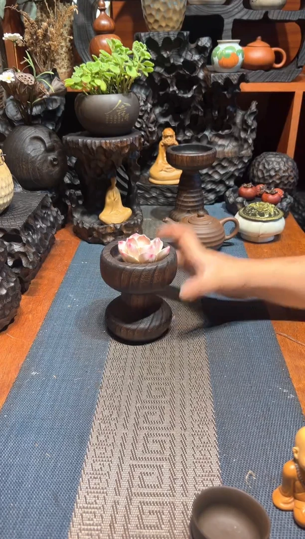 香樟木香樟木一物一拍