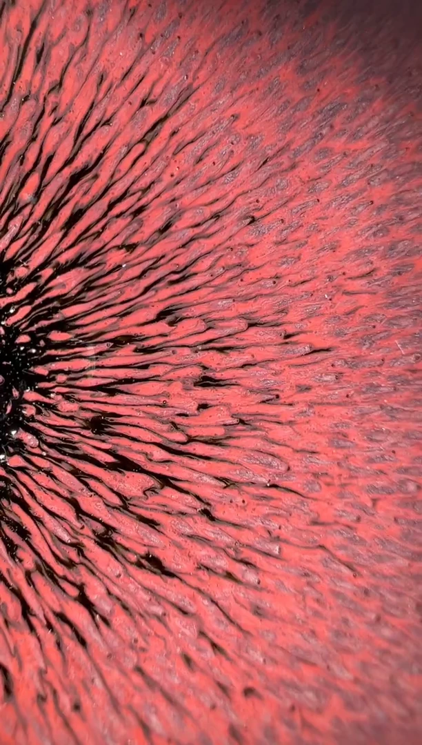 【闪购商品】茶盏27叶礼旺老师精品