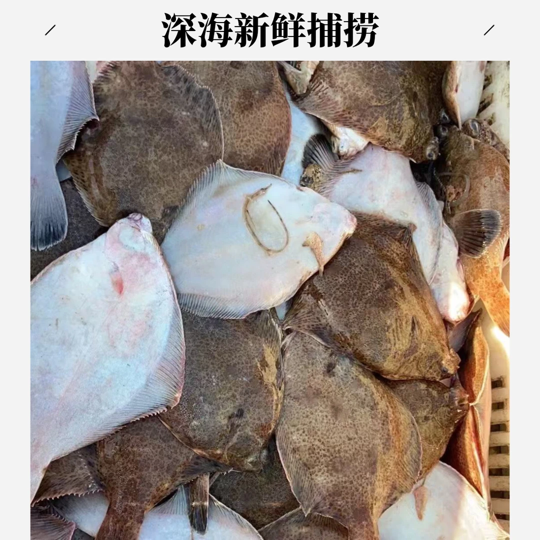 海捕本地新鲜鼓眼鱼肉质鲜嫩顺丰京东包邮