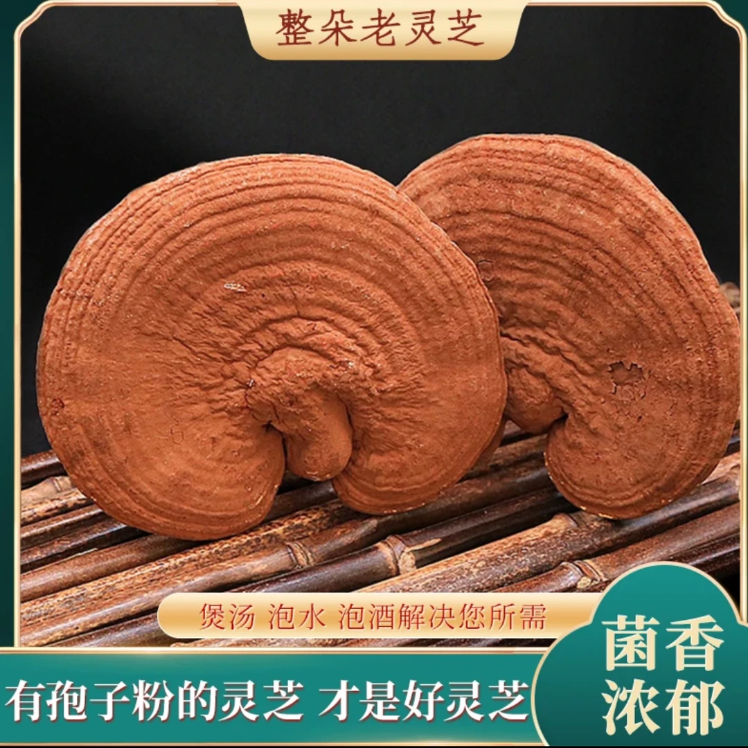 长白山灵芝孢子粉整朵山货