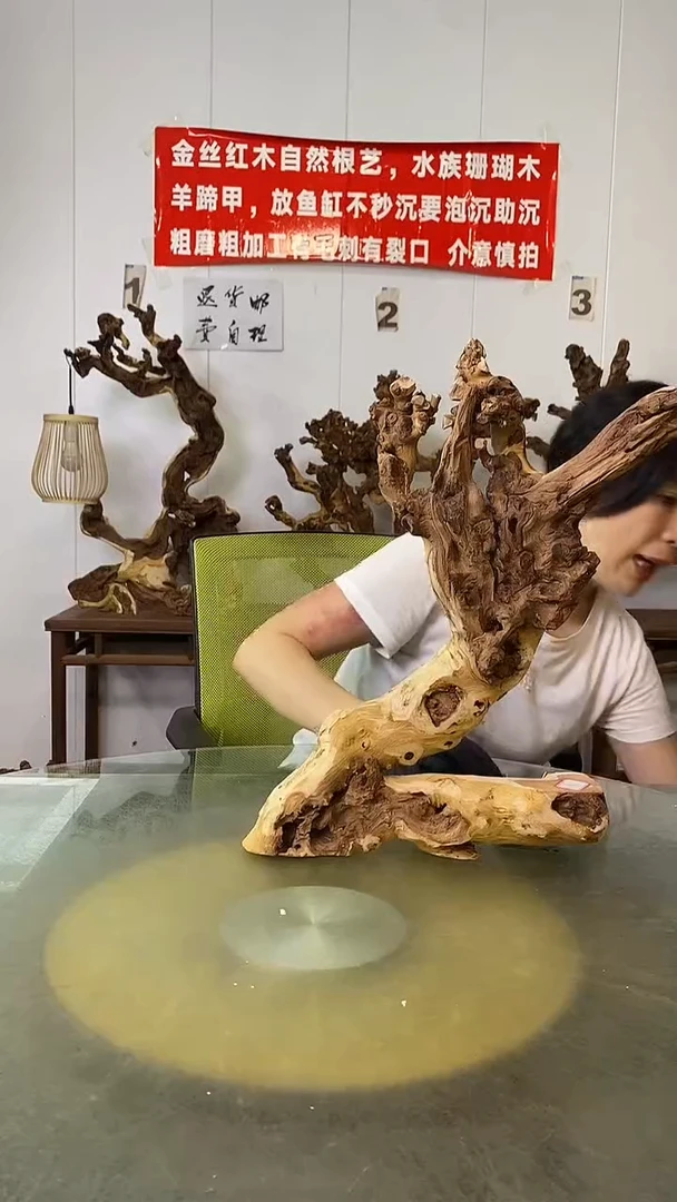 香榧木金丝红木 羊蹄甲