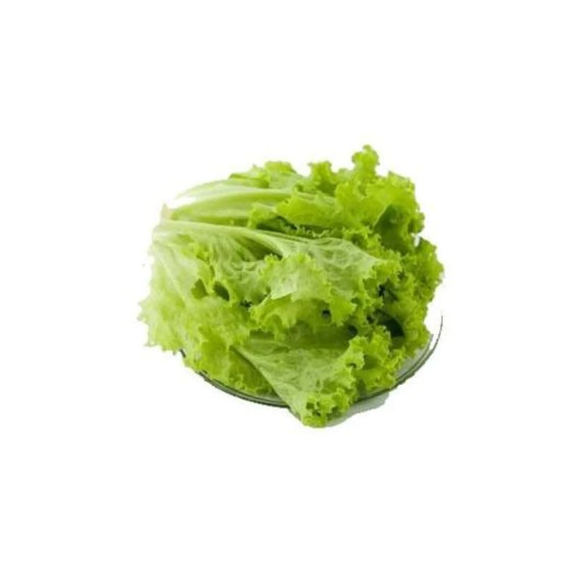 云南意大利生菜500g生菜