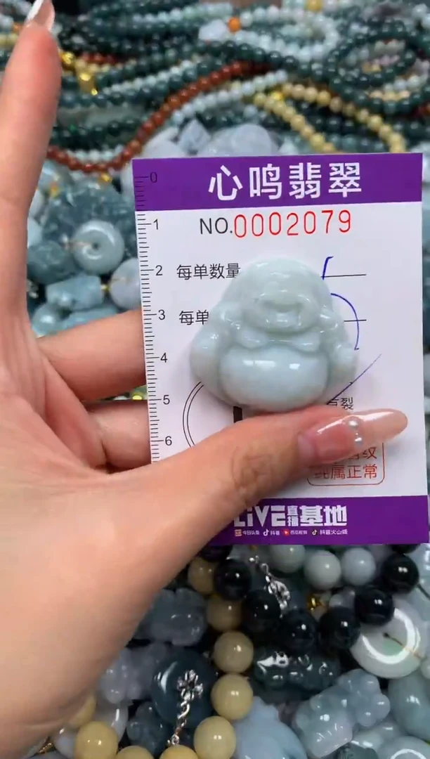 颈饰未镶嵌翡翠闪购002079