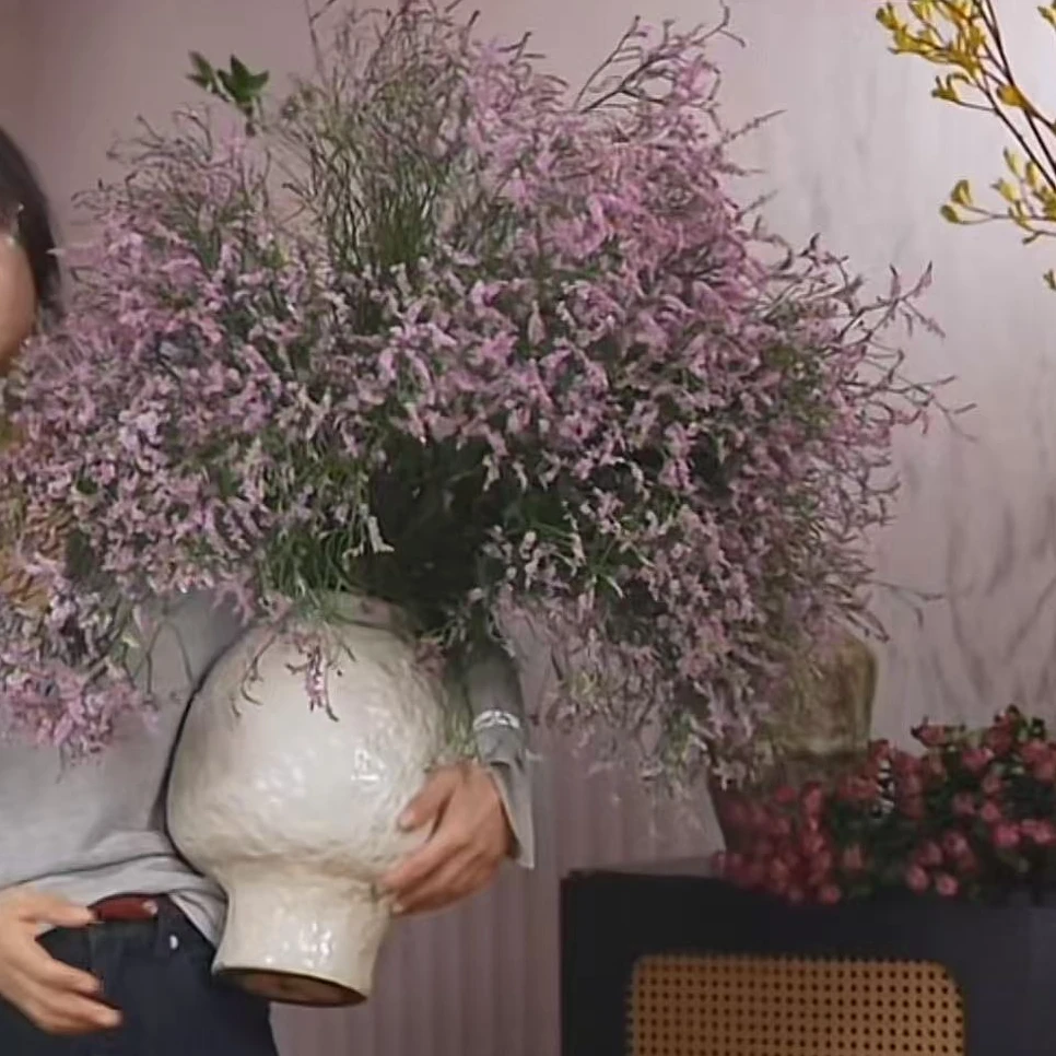 【粉色水晶草】水晶草长花期氛围鲜切花好养护干花永生花基地直发