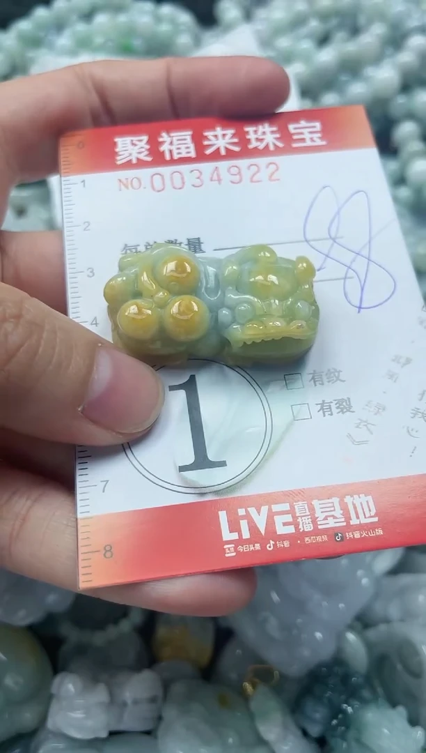 【闪购商品】翡翠颈饰未镶嵌闪购0034922