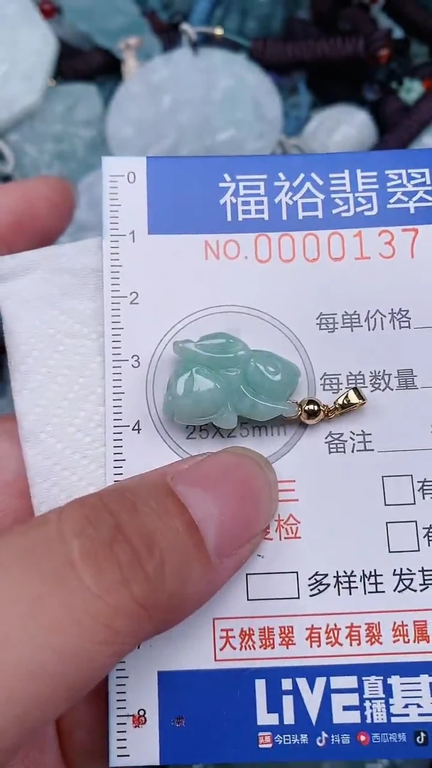 翡翠未镶嵌颈饰...0000137