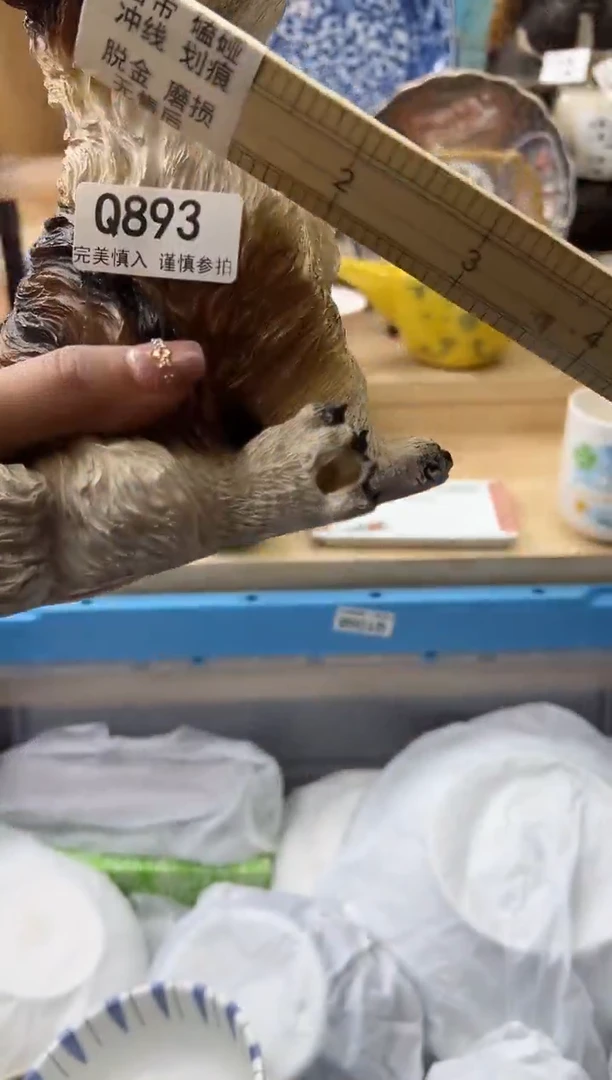 【闪购商品】瓷片893qqqqqqqqqqqq瑕疵