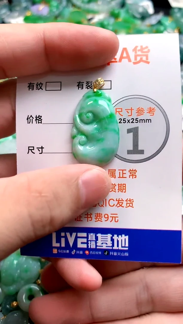 颈饰18K金镶嵌翡翠0784898495