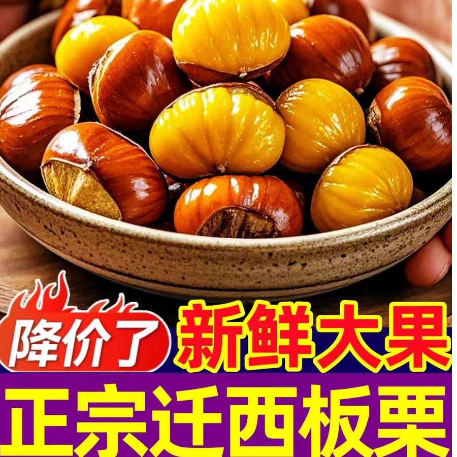 2025新鲜迁西带壳生板栗新鲜采摘高山板栗油板栗栗子老树野生板栗