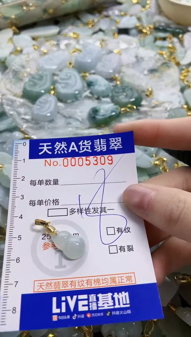 颈饰未镶嵌翡翠天然A货翡翠