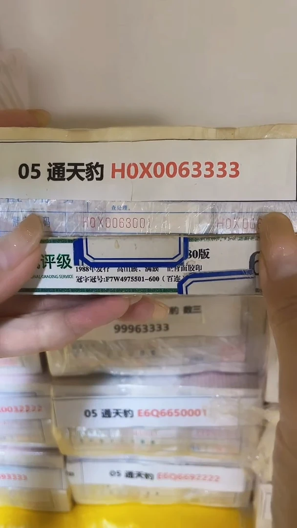 M 05 通天豹 H0X0063333