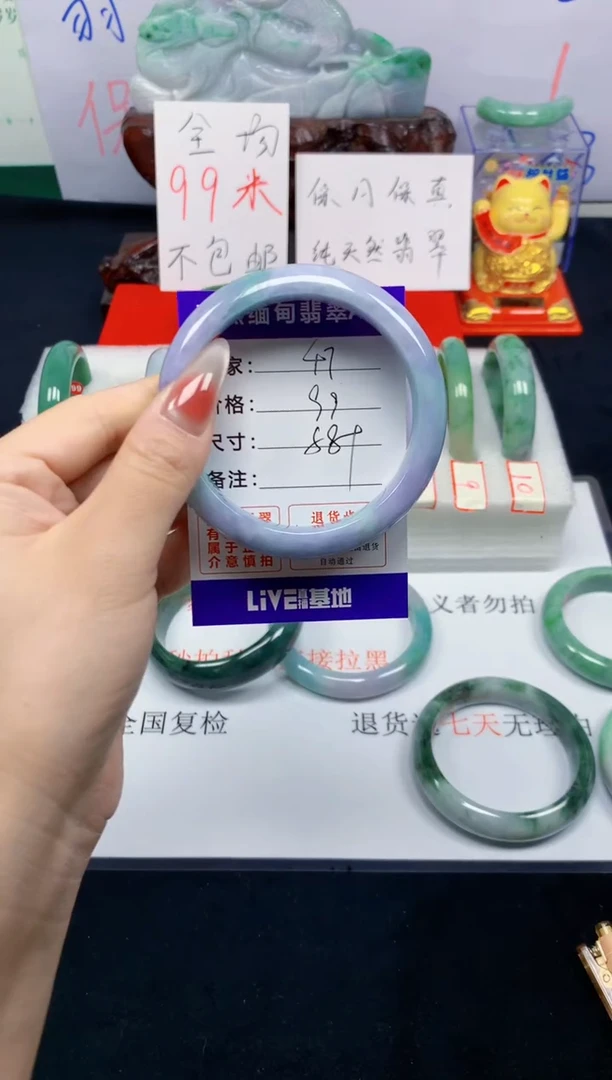 未镶嵌手镯翡翠47
