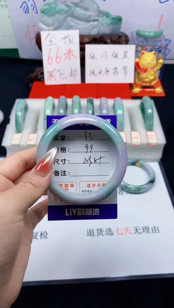 未镶嵌手镯翡翠93