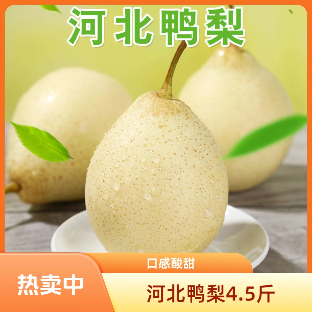 河北鸭梨水晶梨4.5斤装口感酸甜多汁f