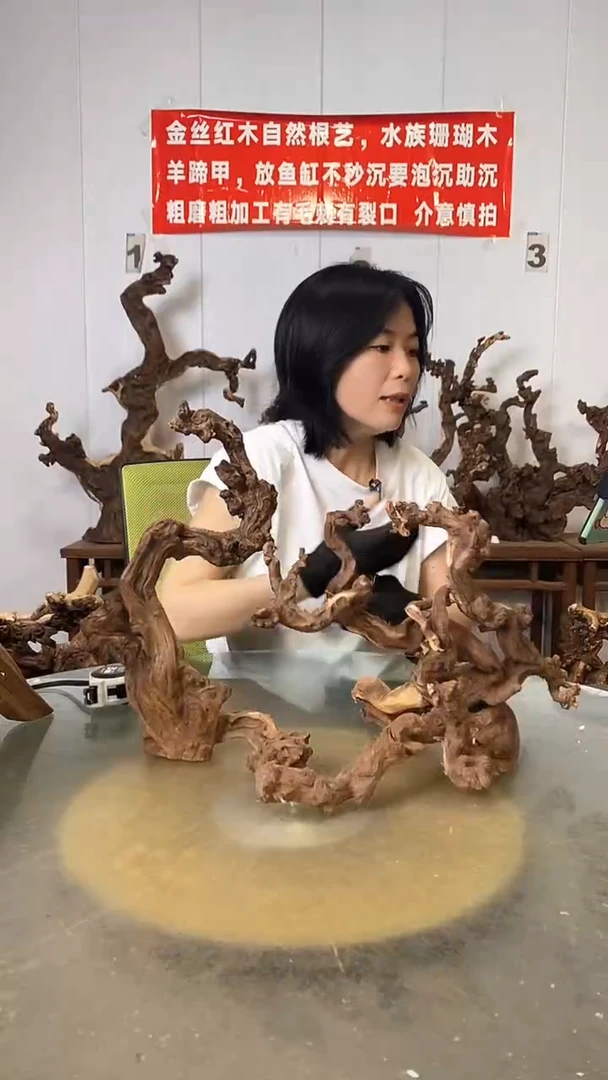 香榧木知*！金丝红木   羊蹄甲
