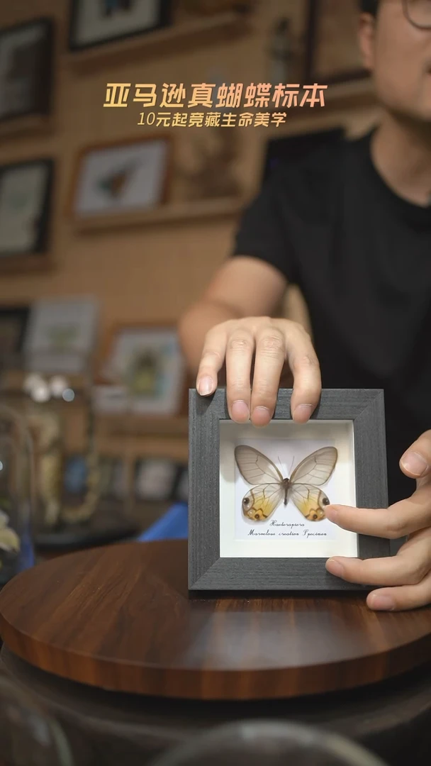 有机玻璃黄晶眼蝶四寸方框