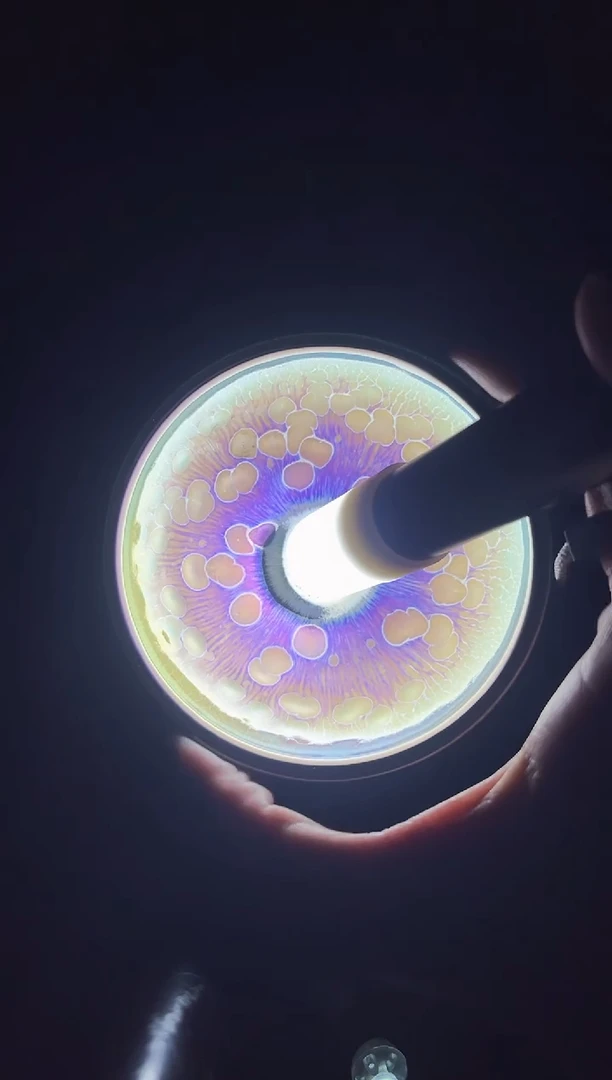 茶盏徐长和老师作品94