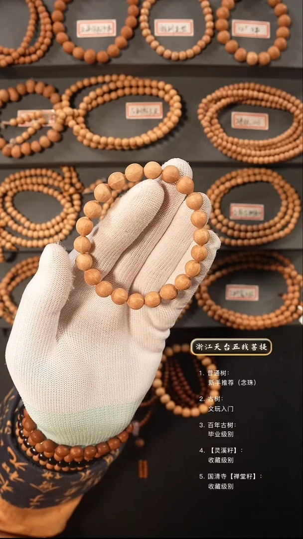 【闪购商品】五线菩提吊坠原皮手串