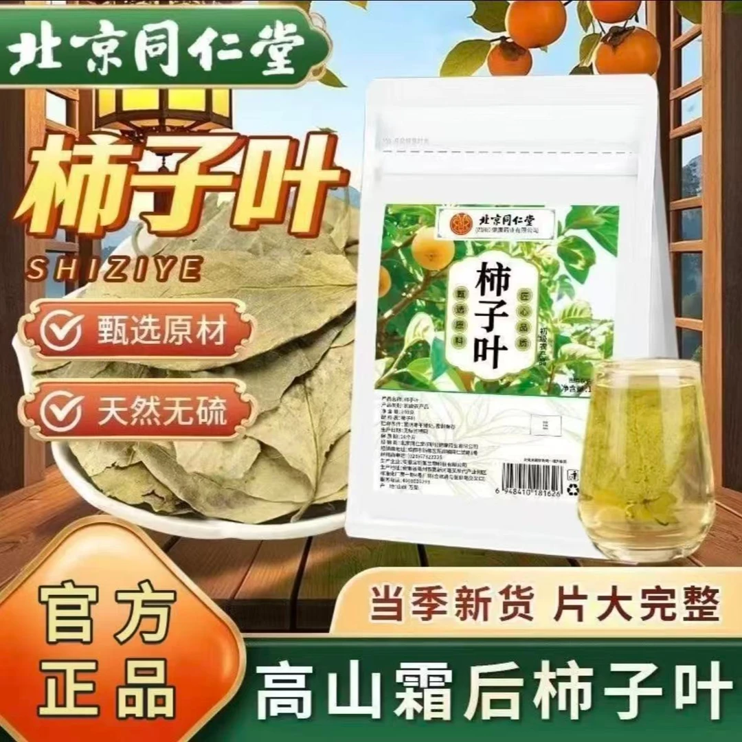 霜后柿子叶2025年新鲜干货泡水喝精品保证拒绝硫磺霜后采摘