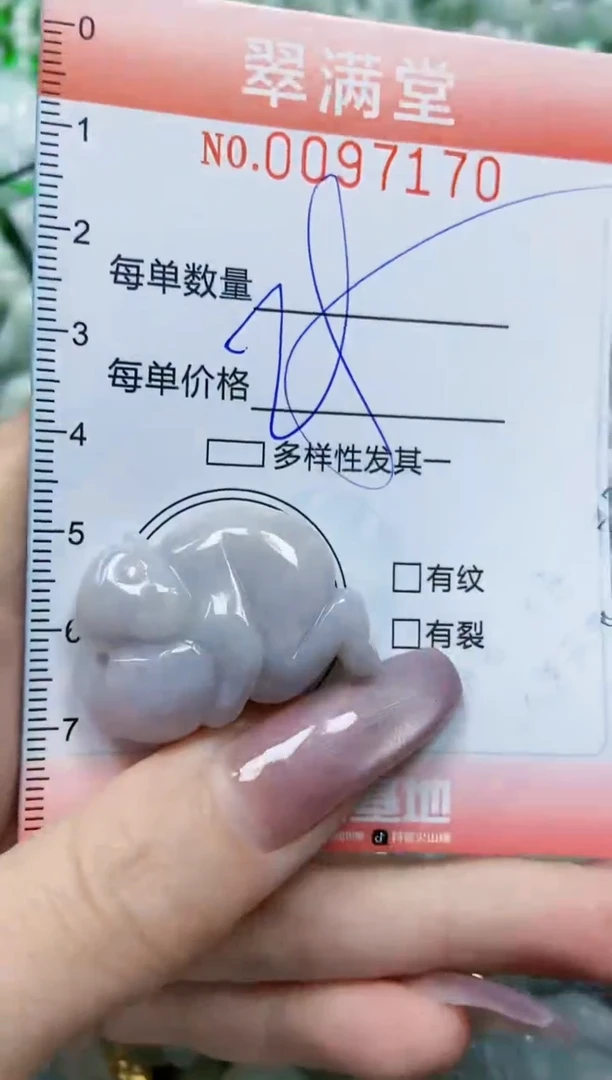 【闪购商品】翡翠颈饰未镶嵌闪购0097170