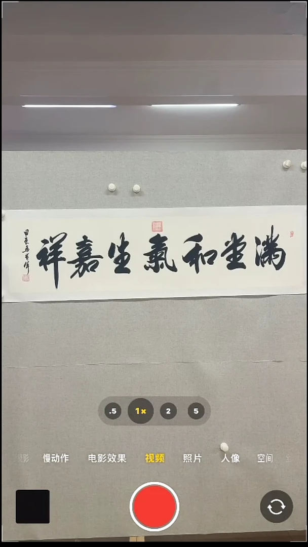 【闪购商品】书法满堂和其生家乡啦