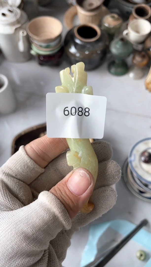 器556677882506016088