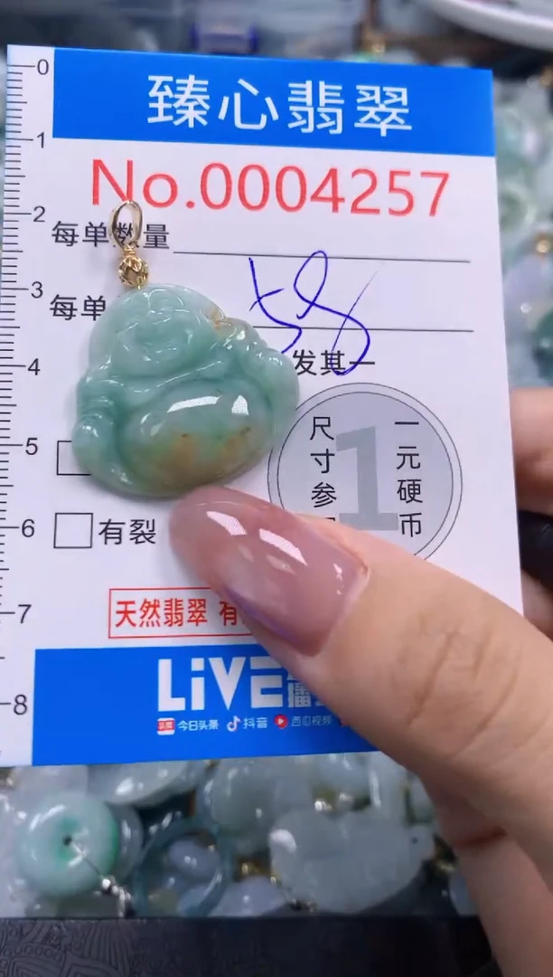翡翠未镶嵌颈饰含绳0004257