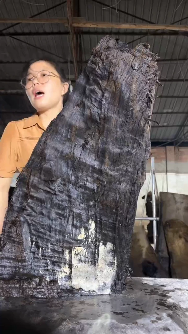 金丝楠14金丝楠小叶桢楠