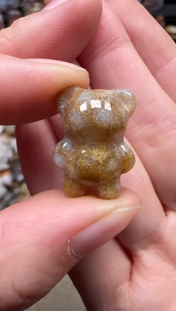 颈饰未镶嵌硅化珊瑚（珊瑚玉）747