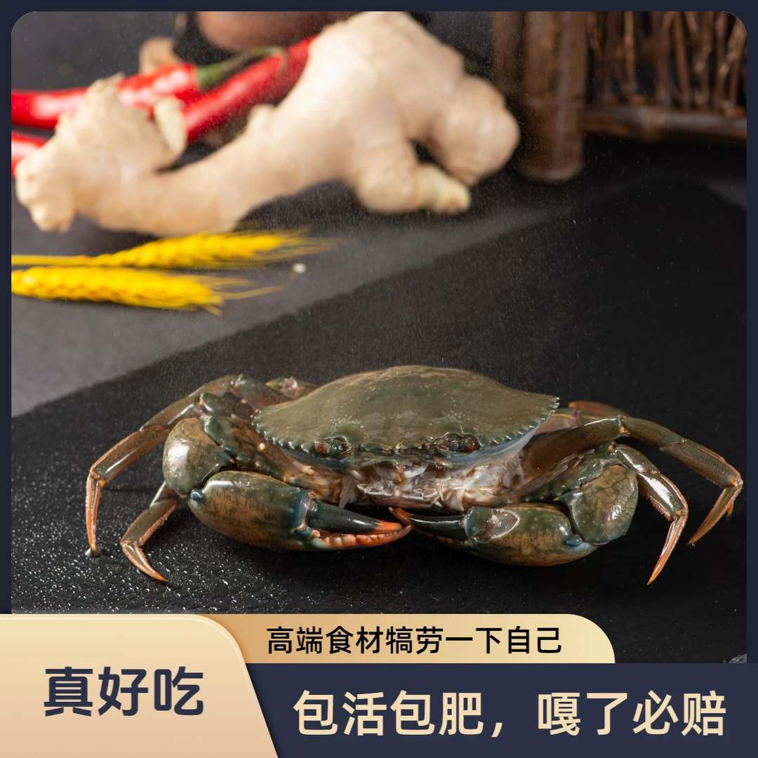 三门青蟹【现称改价】花鼓漫大青蟹膏蟹母蟹奄仔蟹公蟹大公蟹礼品蟹