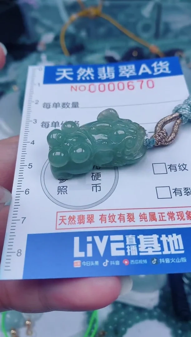 颈饰未镶嵌翡翠00000670