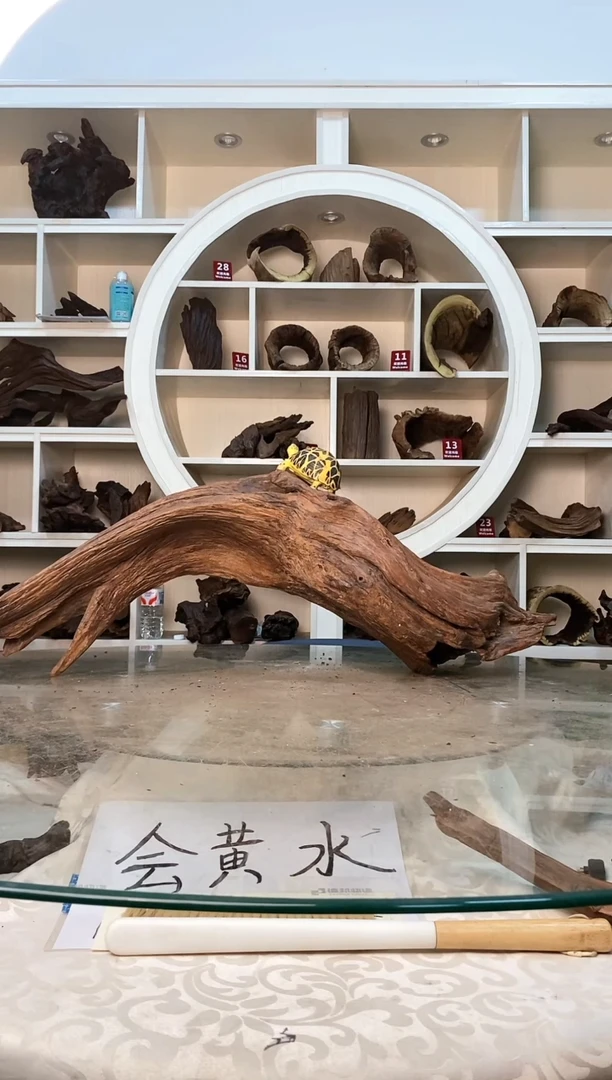 柚木鱼缸造景素材木207