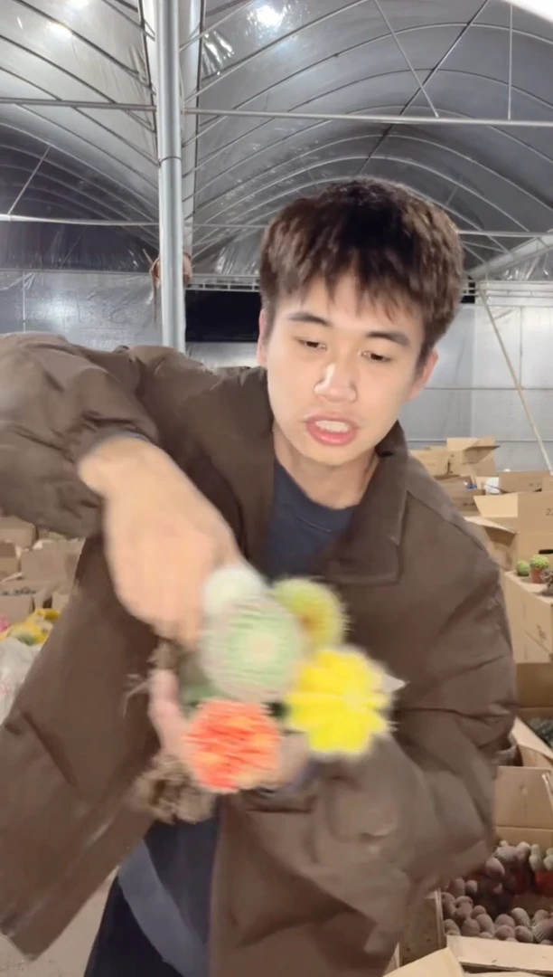 【闪购商品】5色球组合【嫁接】