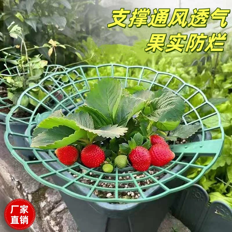 太阳花草莓架果实托架园艺种植拼接支架盆栽果实支撑加厚塑料花盆