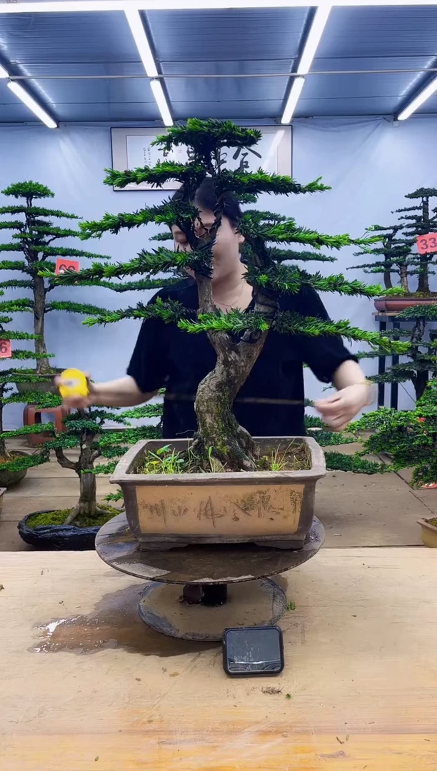 无花朵一物一拍，所见即所得