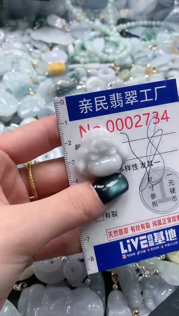 翡翠未镶嵌吊坠(不含链)2734