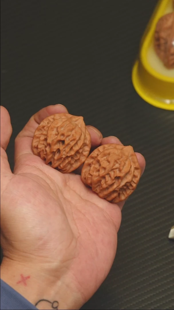 2025核桃季精品大龙39