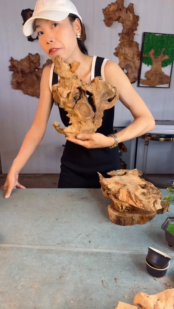 香杉木杉木瘤随型【原料】006