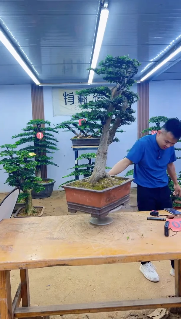 完全开放00000000000