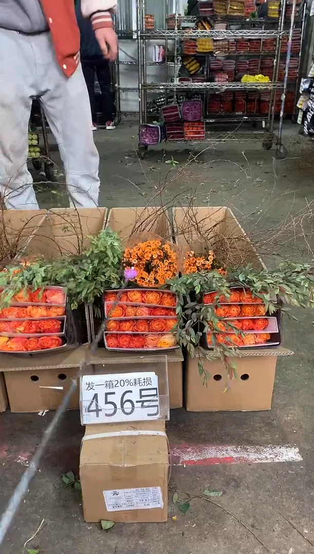 456号♥中通含20%耗损发一箱鲜花
