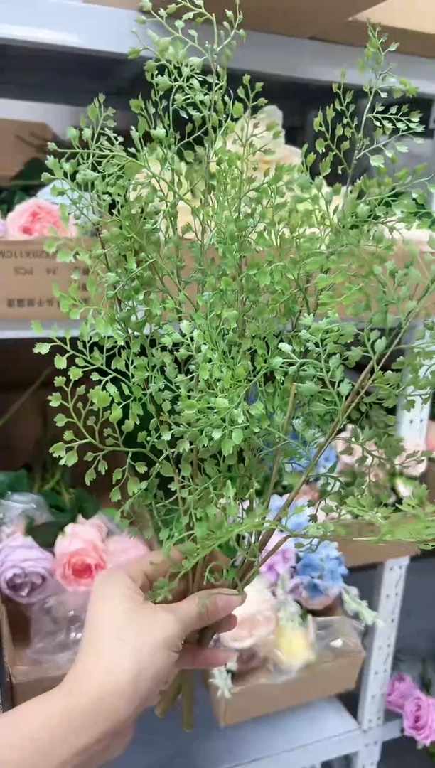 2枝铁线莲