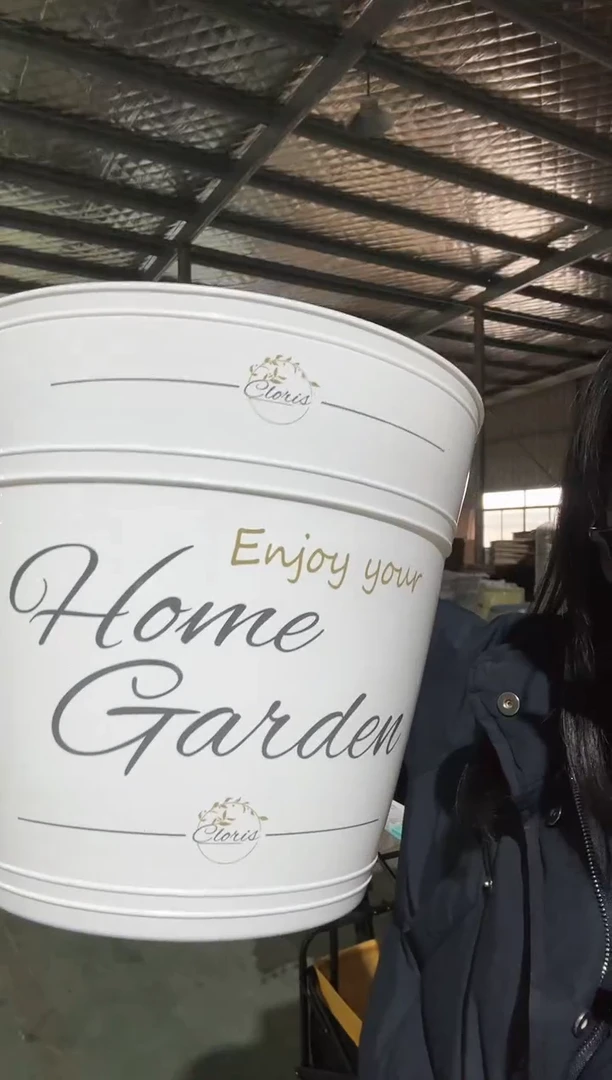 【闪购商品】塑料10.7寸罗斯玛丽白色印花4只装