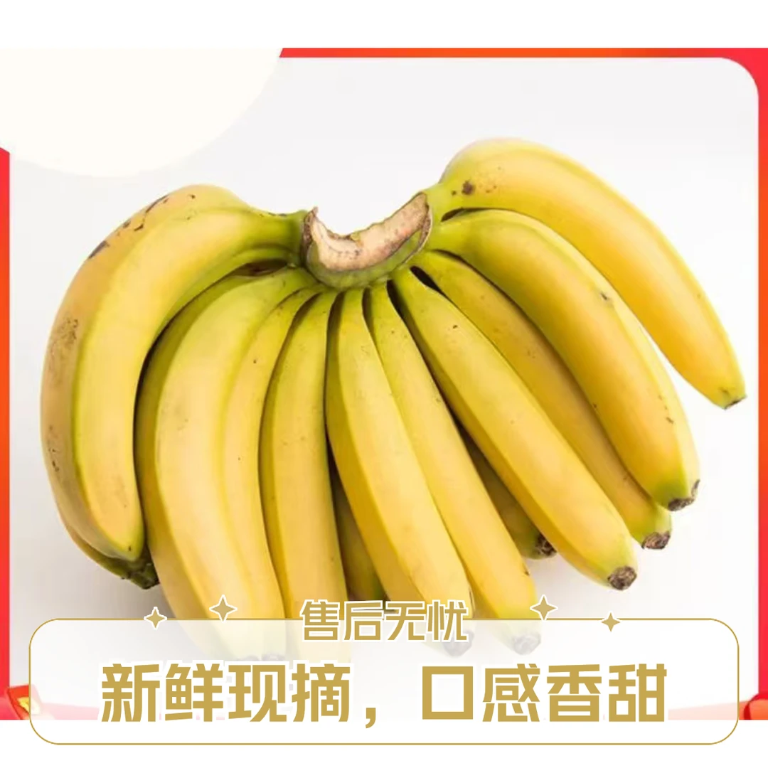 شاڭجۇ   香蕉（1kg)