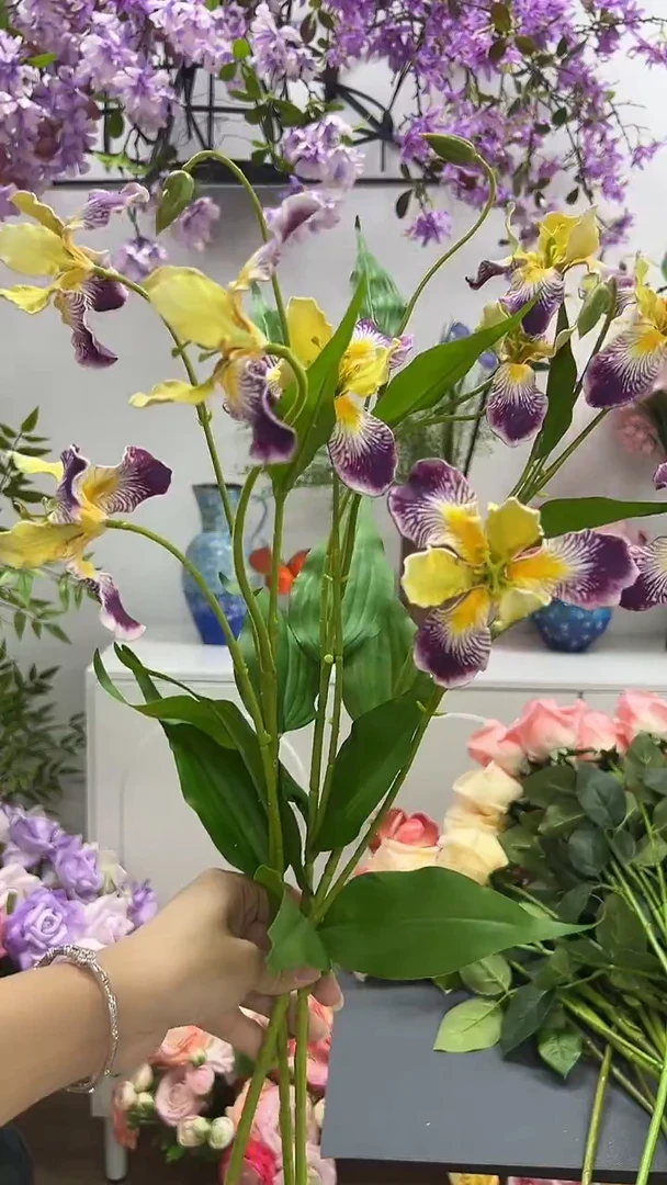 2枝紫黄鸢尾花花