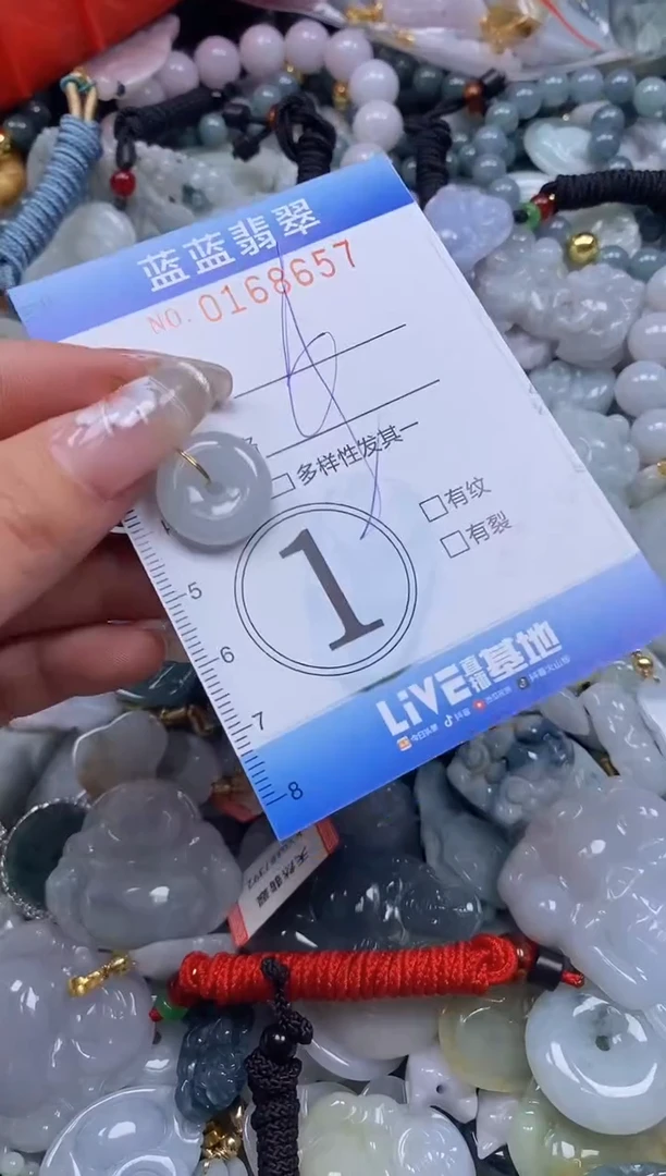 【闪购商品】翡翠颈饰未镶嵌闪购0168657