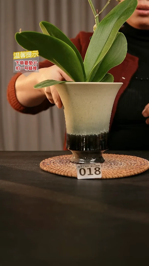 瓷片018内口径约11-12  外高约15