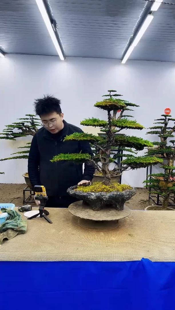 完全开放一物一拍，所见即所得