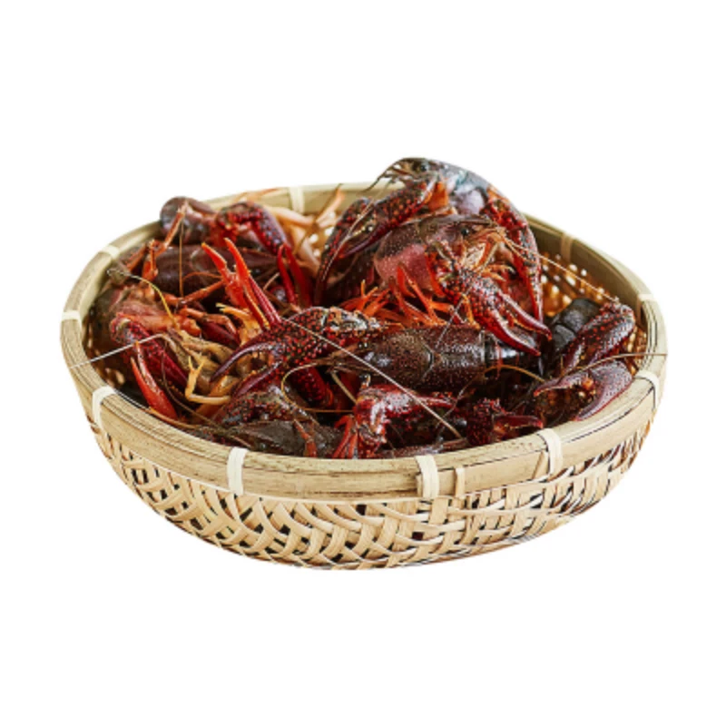 潜江 大号小龙虾 500±20g/份