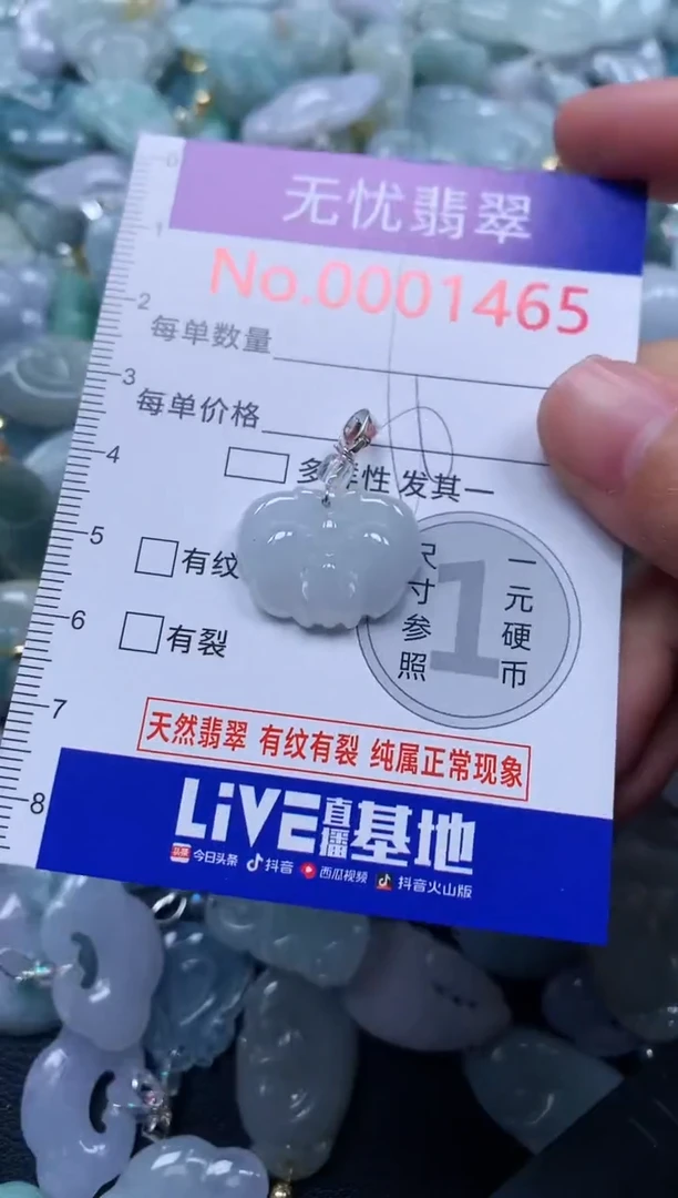 颈饰未镶嵌翡翠1465